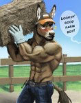 Rating: s
ID: 5497447
Date: 2025-04-11 17:56:42 -0400
Status: active
Score: 27
2024 abs anthro asinus baseball_cap beard belly belly_hair biceps bodily_fluids body_hair bottomwear brown_eyes brown_hair carrying_another catcall clothed clothing denim denim_bottomwear denim_clothing dialogue donkey ear_tuft embarrassed english_text equid equine facial_hair fence hair hat hay hay_bale headgear headwear hi_res holding_object jeans male mammal manly muscular navel obliques open_mouth outside pants pecs rrougarou1 shoulder_carry solo speech_bubble sweat sweatdrop text topless triceps tuft weremule weretober weretober2024 work_gloves post #5497447