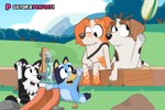 Rating: s
ID: 4916605
Date: 2024-07-13 10:15:34 -0400
Status: active
Score: 105
3:2 adolescent american_foxhound anthro australian_cattle_dog bird_dog black_body black_fur blue_body blue_fur bluey_(series) bluey_heeler border_collie brown_body brown_fur canid canine canis captain_(bluey) cattledog chest_tuft collie dm29 domestic_dog english_setter female foxhound fur gloves_(marking) grass group herding_dog hunting_dog kick leg_markings mackenzie_border_collie male mammal markings mia_(bluey) nintendo observing orange_body orange_fur pastoral_dog plant rhythm_heaven scent_hound setter sheepdog shoulder_bag sitting_on_wall socks_(marking) sports_ball tan_body tan_fur tuft underpaw water white_body white_fur young young_anthro post #4916605