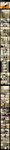 post #5600007