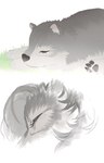 post #3744372