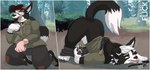 post #5645076