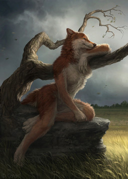 4_toes anthro black_nose blue_eyes canine caraid day detailed_background digitigrade female fox grass mammal nude outside rock sitting sky solo toes tree
Rating: Safe
Score: 28
User: Millcore
Date: June 25, 2017 4_toes anthro black_nose blue_eyes canine caraid day detailed_background digitigrade female fox grass mammal nude outside rock sitting sky solo toes tree
Rating: Safe
Score: 28
User: Millcore
Date: June 25, 2017