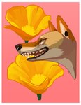 Rating: s
ID: 5554593
Date: 2025-05-07 03:41:47 -0400
Status: active
Score: 3
ambiguous_gender border buttercup_(flower) canid digital_media_(artwork) digital_painting_(artwork) ear_piercing facial_piercing feral flower green_eyes headshot_portrait hi_res mammal nose_piercing nose_ring oystr painting_(artwork) piercing pink_background plant portrait ring_piercing sharp_teeth simple_background smile solo teeth white_border yellow_flower post #5554593