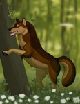 Rating: s
ID: 4305453
Date: 2023-09-21 16:02:44 -0400
Status: active
Score: 13
2023 4_toes absurd_res amber_eyes brown_body brown_fur canid canine canis claws digital_drawing_(artwork) digital_media_(artwork) digitigrade fangs feet feral flower forest fur hi_res karn_(karn_the_wolf) leaning_on_object male mammal open_mouth paper-wings pawpads paws plant quadruped solo standing tail teeth toes tongue tree wolf post #4305453