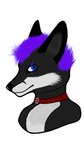Rating: s
ID: 5000572
Date: 2024-08-21 13:30:51 -0400
Status: active
Score: 2
9:16 anonymous_floof anthro black_body black_fur black_nose blue_eyes canid canine canis cheek_tuft collar digital_media_(artwork) eye_scar facial_markings facial_scar facial_tuft first_art_piece fox fur gimp_(artwork) grey_body grey_fur hair head_markings headshot_portrait hi_res hybrid male mammal markings multicolored_body multicolored_fur portrait purple_hair purple_scar red_collar red_fox scar shaded simple_background simple_coloring simple_eyes simple_face simple_shading solo sylvarin_(anonymous_floof) true_fox tuft two_tone_body two_tone_fur white_body white_fur wolf post #5000572