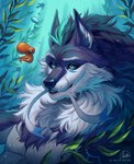 Rating: s
ID: 5657831
Date: 2025-06-21 10:43:38 -0400
Status: active
Score: 9
ambiguous_feral ambiguous_gender anthro black_nose blue_eyes bubble canid canine cephalopod cheek_tuft chest_tuft coleoid detailed_background duo facial_tuft feral fur grey_body grey_fur hi_res male male_anthro mammal marie_merkh marine mollusk muscular muscular_anthro muscular_male neck_tuft nude octopodiform octopus tuft underwater water white_body white_fur post #5657831
