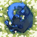 Rating: s
ID: 5650356
Date: 2025-06-18 04:03:49 -0400
Status: active
Score: 0
ambiguous_gender black_body black_claws black_fur black_hair blue_body blue_fur blue_pawpads blue_tail claws corzh77 felid feral flower fur grass grey_body grey_fur hair hi_res mammal mouth_closed obscured_eyes pawpads plant solo tail white_flower post #5650356