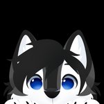Rating: s
ID: 2366717
Date: 2020-08-11 19:15:16 -0400
Status: active
Score: 26
1:1 alpha_channel black_body black_fur blue_eyes canid canine canis domestic_dog feve fur grey_body grey_fur husky looking_at_viewer male mammal multicolored_body multicolored_fur nordic_sled_dog semi-anthro sleek solo spitz white_body white_fur post #2366717