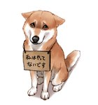 Rating: s
ID: 4501931
Date: 2023-12-29 11:33:11 -0500
Status: active
Score: 26
all_fours ayaka brown_body brown_fur canid canine canis cardboard countershading domestic_dog embarrassed feral fur japanese_text mammal paws quadruped sad shaming shiba_inu simple_background sitting solo spitz tail text translated white_background white_body white_fur post #4501931