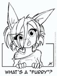 Rating: s
ID: 444579
Date: 2014-02-18 11:22:57 -0500
Status: active
Score: 41
2008 anthro black_and_white breaking_the_fourth_wall bust_portrait conditional_dnp english_text eurasian_red_squirrel female fur hair jollyjack looking_at_viewer mammal monochrome portrait rodent scarlet_(sequential_art) sciurid sequential_art simple_background solo text tree_squirrel post #444579