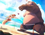 Rating: s
ID: 4766769
Date: 2024-05-06 17:48:59 -0400
Status: active
Score: 20
2023 4_toes absurd_res anthro atimist ball beach belly big_belly biped black_clothing black_underwear bottomwear brown_body brown_fur brown_hair canid canine claws clothed clothing day digital_drawing_(artwork) digital_media_(artwork) duo exclamation_point feet finger_claws fox fur hair hi_res jumping larger_anthro larger_male macro male mammal moobs mosin mosin_(character) mustelid net otter outside paws plantigrade red_bottomwear red_clothing red_shorts sand sea shorts size_difference sky smaller_anthro smaller_male standing tail toes underwear underwear_only volleyball_(ball) volleyball_net water yellow_body yellow_fur post #4766769