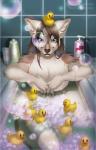 Rating: s
ID: 2028020
Date: 2019-10-19 11:07:56 -0400
Status: active
Score: 20
absurd_res anthro badger bandi_(character) bath bathtub blue_eyes brown_body brown_fur bubble eyelashes fangs freckles fur hair heart_symbol hi_res hybrid inner_ear_fluff lilychaos long_hair looking_at_viewer male mammal mustelid musteline nude relaxing rubber_duck rubber_duck_on_head shampoo smile soap stripes teeth tuft post #2028020