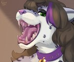 Rating: s
ID: 3570023
Date: 2022-09-16 12:28:27 -0400
Status: active
Score: 14
2021 anthro arm_tuft black_hair bodily_fluids bust_portrait cheek_tuft collar dated eyelashes facial_tuft famir fangs felid female fur glistening glistening_eyes glistening_tongue green_eyes grey_body grey_fur hair mammal mouth_shot multicolored_hair narrowed_eyes neck_tuft open_mouth pink_nose pink_tongue portrait purple_collar purple_hair rin_(kittyrin) saliva saliva_string shoulder_tuft signature simple_background solo teeth three-quarter_view tongue tuft two_tone_hair white_body white_fur post #3570023