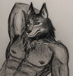 Rating: s
ID: 5118849
Date: 2024-10-16 12:48:49 -0400
Status: active
Score: 15
alex_dellamortex anthro armpit_fetish armpit_hair armpit_play body_hair canid canine canis collar good_boy gulonine hi_res male mammal muscular muscular_anthro mustelid musteline nipple_piercing nipples piercing wolf wolverine post #5118849
