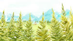 Rating: s
ID: 5581014
Date: 2025-05-18 09:45:30 -0400
Status: active
Score: 30
angry animated anthro bach beaver buckteeth building close-up duo dutchling english_audio exercise feral fingers_together furniture gazebo grass happy hi_res log male male/male mammal multiple_scenes music outside painting_(artwork) plant push-up realistic realistic_feral rodent sawing sigh size_difference sound table tail teeth two_soyjaks_pointing water water_stream watercolor_(artwork) webm wood yoshi_and_toad_kissing post #5581014