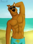 Rating: s
ID: 5648816
Date: 2025-06-17 13:38:24 -0400
Status: pending
Score: 3
2025 abs anthro athletic athletic_anthro athletic_male beach black_nose blue_bottomwear blue_clothing blue_shorts bottomwear brown_body brown_fur canid canine canis clothed clothing day domestic_dog eyewear fur great_dane hanna-barbera male mammal mastiff molosser navel pecs sand sandblastcoyote scooby-doo scooby-doo_(series) sea seaside shadow shorts smile solo standing sunglasses swimming_trunks swimwear topless topless_male water post #5648816