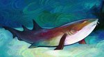 Rating: s
ID: 5552118
Date: 2025-05-06 00:44:38 -0400
Status: active
Score: 13
ambiguous_gender carpet_shark digital_media_(artwork) feral fin fish full-length_portrait gills ginglymostomatid hi_res marine misguidedtreestump multicolored_body nurse_shark portrait sand sea shark solo underwater water whiskers white_sclera post #5552118