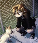 Rating: s
ID: 5550580
Date: 2025-05-05 11:33:11 -0400
Status: active
Score: 7
2024 ambiguous_gender anthro artist_name biped black_bottomwear black_clothing black_hoodie black_shorts black_topwear bottomwear brown_hair canid canine canis chain-link_fence clothed clothed_anthro clothing crouching detailed_background digital_drawing_(artwork) digital_media_(artwork) domestic_cat domestic_dog duo ear_piercing ear_ring english_description eyelashes felid feline felis female_(lore) fence feral footwear fur hair hi_res holding_in_mouth hoodie joan_(salamanding) leash light lighting looking_at_another looking_down_at_another looking_up_at_another mammal nude nude_feral piercing quadruped ring_piercing salamanding shadow shoes shorts sidewalk text topwear post #5550580