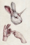 Rating: s
ID: 446379
Date: 2014-02-22 14:56:35 -0500
Status: active
Score: 17
al-mi'raj ambiguous_gender blue_eyes disembodied_hand disembodied_head duo feral fingers fur horn human humanoid_hands lagomorph leporid mammal nikolay_tolmachev rabbit simple_background white_background white_body white_fur post #446379