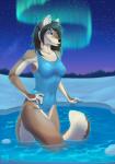 Rating: s
ID: 744797
Date: 2015-10-10 09:30:08 -0400
Status: active
Score: 87
2015 alex_(bering) anthro arms_bent aurora_(phenomenon) blue_eyes brown_body brown_fur brown_hair canid canine clothed clothing detailed_background digital_media_(artwork) female forest fox fur hair hand_on_hip hand_on_own_hip hi_res holding_hips legs_in_water mammal night one-piece_swimsuit outside partially_submerged plant shaded snow solo star submerged_legs submerged_tail swimming_pool swimwear tail_in_water tail_out_of_water tree water wyla post #744797