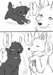 Rating: s
ID: 5260767
Date: 2024-12-23 14:29:30 -0500
Status: active
Score: 34
2024 absurd_res ambiguous_gender berger_blanc_suisse bird_dog black_body black_fur black_nose canid canine canis cheek_tuft cody_(tsukune_minaga) comic dialogue digital_media_(artwork) domestic_dog duo facial_tuft felicia_(tsukune_minaga) feral flat_coated_retriever floppy_ears fluffy fluffy_tail fur greyscale herding_dog hi_res hunting_dog japanese_text jewelry lop_ears mammal monochrome monotone_body monotone_fur neck_ribbon pastoral_dog pawpads pendant pointy_ears prick_ears quadruped retriever snout speech_bubble tail text tsukune_minaga tuft white_body white_fur young post #5260767