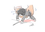 post #4375124