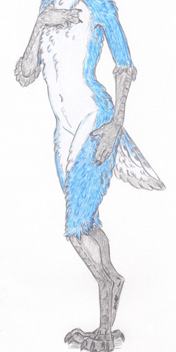 anthro avian bird blue_jay corvid girly male rexhyuga skyfifer solo
Rating: Safe
Score: 1
User: Skyfifer
Date: August 18, 2017 anthro avian bird blue_jay corvid girly male rexhyuga skyfifer solo
Rating: Safe
Score: 1
User: Skyfifer
Date: August 18, 2017