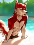 Rating: s
ID: 3339928
Date: 2022-05-17 18:55:24 -0400
Status: active
Score: 125
2022 anthro athletic blue_eyes canid canine canis clothed clothing day detailed_background digital_media_(artwork) domestic_dog ear_piercing ear_ring eyebrows eyelashes facial_piercing fur hair hi_res husky inner_ear_fluff koifishkid lip_piercing male mammal nordic_sled_dog outside piercing poofroom red_body red_fur red_hair ring_piercing sky small_nipples snakebite_piercing solo speedo spitz swimming_pool swimwear tuft wet post #3339928