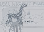 Rating: s
ID: 5598128
Date: 2025-05-25 18:39:31 -0400
Status: active
Score: 27
2025 age_difference cutie_mark dialogue digital_media_(artwork) duo english_text equid equine fan_character female feral fish giraffe giraffid hair hasbro hi_res horn horse kerchief larger_female lobe-finned_fish lovelace_filigree lucent_(oc) male male/female mammal marine mature_female museum my_little_pony mythological_creature mythological_equine mythology neckerchief neckwear older_female ossicone pony prehistoric_species purple_eyes size_difference smaller_male stray_prey tail text tiktaalik unicorn younger_male post #5598128
