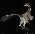 Rating: s
ID: 3510506
Date: 2022-08-16 16:42:21 -0400
Status: active
Score: 25
absurd_res artist_name black_background brown_body brown_feathers claws countershade_feathers countershading dinosaur dromaeosaurid feathered_dinosaur feathered_raptor feathered_scalie feathers feet feral halszkaraptor hi_res long_tail multicolored_body multicolored_feathers nightcrow prehistoric_species reptile scalie scutes simple_background tail talons text theropod toes weibo weibo_logo post #3510506
