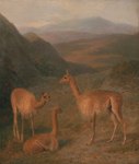Rating: s
ID: 5586847
Date: 2025-05-20 19:23:17 -0400
Status: active
Score: 2
1831 19th_century absurd_res ambiguous_gender ancient_art brown_body brown_fur camelid cloud day feet feral formal_art fur grass group hi_res hooves jacques-laurent_agasse long_neck mammal mountain mouth_closed outside painting_(artwork) plant quadruped shaded side_view sitting snout soft_shading standing tail toes traditional_painting_(artwork) trio unguligrade vicuna post #5586847