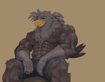 Rating: s
ID: 5594205
Date: 2025-05-24 01:50:28 -0400
Status: active
Score: 19
abs accessory anthro avian barazoku beak bedroom_eyes biceps body_hair chest_tuft claws clothed clothing deltoids finger_claws hair_accessory hair_tie happy_trail hi_res looking_at_viewer male muscular muscular_anthro muscular_male narrowed_eyes nipple_piercing nipple_ring nipples pecs piercing purple_eyes quads ring_piercing seductive serratus shorts_only simple_background sitting solo spread_legs spreading topless triceps tuft utter2 post #5594205