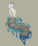 Rating: s
ID: 5438596
Date: 2025-03-17 01:32:49 -0400
Status: active
Score: 11
arthropod arthropod_taur canid canine canis centipede centipede_taur domestic_dog eye_patch eyewear felvin_(puppyratcat) fur hi_res long_taur looking_back male mammal missing_eye myriapod myriapod_taur puppyratcat simple_background smile solo taur white_body white_fur young post #5438596
