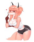 Rating: s
ID: 2529535
Date: 2020-12-15 01:50:54 -0500
Status: active
Score: 89
2020 anthro bottomwear breasts canid canine clothed clothing digital_media_(artwork) dolphin_shorts female female_anthro fox fully_clothed fur gloves_(marking) herbivore_high_school hi_res hoho_(herbivore_high_school) kemono looking_at_viewer mammal markings midriff portrait red_fox shaded shorts simple_background solo swetpot three-quarter_portrait true_fox unavailable_at_source white_background post #2529535