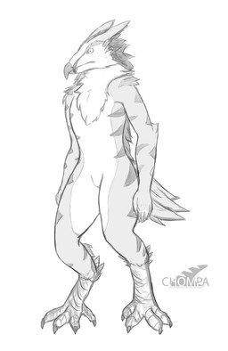 anthro avian bearded_vulture bird chompa male viktor_vyacheslav vulture
Rating: Safe
Score: 2
User: Chompa
Date: October 21, 2017 anthro avian bearded_vulture bird chompa male viktor_vyacheslav vulture
Rating: Safe
Score: 2
User: Chompa
Date: October 21, 2017