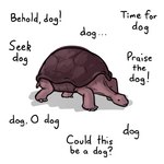 Rating: s
ID: 3222598
Date: 2022-03-13 20:33:28 -0400
Status: active
Score: 219
1:1 2022 ambiguous_gender black_eyes canid canine canis claws domestic_dog elden_dogs_(meme) elden_ring english_text exclamation_point feral fromsoftware humor mammal meme neat_neato purple_body purple_scales question_mark reptile scales scalie shell simple_background solo soulslike_message_(meme) text tortoise turtle post #3222598