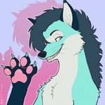 Rating: s
ID: 5559054
Date: 2025-05-08 23:42:47 -0400
Status: active
Score: 16
4_toes airam_(artist) anthro black_nose blue_body blue_ears blue_fur canid canine claws clothed clothing countershading digit_ring digitigrade ear_piercing ear_ring eyebrows facial_markings feet foot_focus fur grey_mane hair head_markings hi_res inner_ear_fluff jewelry kaibly_(kaibly) male mammal mane mane_hair maned_wolf markings mask_(marking) monotone_hair monotone_mane multicolored_body multicolored_fur pawpads paws piercing pink_eyes pink_pawpads ring ring_piercing smile solo spread_toes teal_body teal_claws teal_fur toe_claws toe_ring toes tuft white_body white_countershading white_fur white_inner_ear_fluff white_markings post #5559054