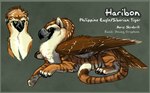 Rating: s
ID: 5258937
Date: 2024-12-22 16:28:58 -0500
Status: active
Score: 8
2010 2_tails accipitrid accipitriform avian beak bird black_beak black_claws brown_pawpads brown_stripes brown_wings character_name chest_tuft claws closed_beak closed_smile colored digital_media_(artwork) dipstick_tail eagle english_description english_text eyebrows feathered_wings feathers felid feral folded_wings fur green_eyes gryphon haribon_(lyosha) hybrid light lighting lying lyosha male male_feral mammal markings model_sheet mouth_closed multi_tail multicolored_body multicolored_fur multicolored_tail mythological_avian mythological_creature mythology on_front orange_body orange_fur orange_tail pantherine pawpads paws philippine_eagle shaded siberian_tiger simple_background smile solo striped_body striped_fur striped_markings striped_tail stripes tail tail_feathers tail_markings text thick_eyebrows tiger toe_claws tuft white_body white_eyebrows white_fur white_tail_tip wings post #5258937