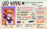 Rating: s
ID: 5131193
Date: 2024-10-21 23:10:20 -0400
Status: active
Score: 25
4_ears anthro ashtodusk avali avian bisexual_pride_colors blue_scarf brown_inner_ear_fluff controller english_text expiration_date feather_hair feathers game_controller gender_name grey_eyes hair height hi_res ifixit information inner_ear_fluff lgbt_pride maine_(us_state) maine_flag male male_(lore) male_anthro measurements mostly_nude multi_ear nintendo nintendo_controller orange_body orange_feathers orange_hair pride_colors pronouns pseudo_hair raku_iridas red_body red_feathers red_inner_ear scarf scarf_only solo species_name text tuft us_state_flag white_body white_feathers wii wii_remote post #5131193