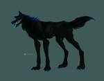 Rating: s
ID: 5599799
Date: 2025-05-26 13:07:48 -0400
Status: active
Score: -1
absurd_res ambiguous_gender black_body black_fur black_tail blue_background blue_claws blue_inner_ear_fluff blue_markings blue_pawpads blue_tail blue_tongue canid canine cheek_tuft claws facial_tuft fangs feral fur hi_res inner_ear_fluff looking_at_viewer mammal markings msdeadsoul neck_tuft open_mouth pawpads side_view simple_background solo tail teeth tongue tuft yellow_eyes post #5599799