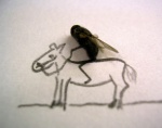 Rating: s
ID: 87338
Date: 2010-08-04 01:30:51 -0400
Status: active
Score: 2
ambiguous_gender arthropod black_body duo equid equine feral fly_(animal) grandfathered_content graphite_(artwork) horse horsefly housefly humor insect insect_wings low_res mammal mixed_media photography_(artwork) pun quadruped snout source_request standing tabanid traditional_media_(artwork) unknown_artist wings post #87338