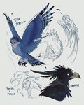 Rating: s
ID: 5565327
Date: 2025-05-11 19:19:02 -0400
Status: active
Score: 6
2023 ambiguous_gender avian beak bird black_beak black_body black_claws black_feathers blue_body blue_feathers blue_owl_(gogh) blue_text character_name claws digital_drawing_(artwork) digital_media_(artwork) duo english_text feathered_wings feathers feral flying great_horned_owl guardians_of_ga'hoole hagsfiend handwritten_text heart_symbol hi_res horned_owl kreeth_(gogh) open_beak open_mouth owl pleek sketch_page solo tail tail_feathers text the_striga true_owl trunswicked wings yellow_eyes ygryk post #5565327
