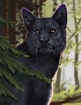 Rating: s
ID: 5640991
Date: 2025-06-14 03:39:36 -0400
Status: active
Score: 5
2025 black_body black_fur black_nose detailed_background digital_media_(artwork) digital_painting_(artwork) dipstick_ears ear_markings felid feral fur grass hi_res leaf looking_at_viewer mammal multicolored_ears novery outside painting_(artwork) pantherine plant purple_ear_tips quadruped semira_(mewmewkitty) shaded snout solo tree whiskers yellow_eyes post #5640991