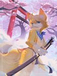 Rating: s
ID: 5440994
Date: 2025-03-18 01:55:35 -0400
Status: active
Score: 25
3:4 absurd_res anthro asian_clothing blue_eyes bottomwear bulge canid canine cherry_blossom cherry_tree clothed clothing detailed_background east_asian_clothing flower fruit_tree fundoshi fundoshi_only fur hauhau_mg hi_res japanese_clothing katana kerchief looking_at_viewer looking_down male mammal melee_weapon neckerchief neckwear plant prunus_(flower) purple_clothing purple_underwear solo sword topless torii torii_gate tree underwear underwear_only weapon yellow_body yellow_fur post #5440994