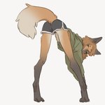 Rating: s
ID: 5588082
Date: 2025-05-21 10:09:25 -0400
Status: active
Score: 351
anthro athletic_wear bent_over black_bottomwear black_clothing black_shorts bottomwear brown_body brown_fur butt canid canine clothing female fluffy fluffy_tail fur green_clothing green_hoodie green_topwear gym_bottomwear gym_shorts hi_res hoodie leaning leaning_forward long_legs looking_at_viewer looking_back looking_back_at_viewer mammal maned_wolf open_mouth orange_body orange_fur shorts slim solo stretching tail tateoftot topwear white_body white_fur yellow_eyes yellow_sclera post #5588082