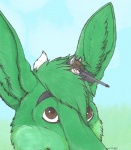 Rating: s
ID: 140458
Date: 2011-06-05 01:53:32 -0400
Status: active
Score: 13
2010 anthro brown_eyes canid canine canis colored_pencil_(artwork) duncan_roo duo fur green_body green_fur gun hiding holding_gun holding_object holding_ranged_weapon holding_weapon kairithekat kangaroo macro macropod male mammal marker_(artwork) marsupial micro mixed_media ranged_weapon remy_(remywolf) rifle size_difference sniper traditional_media_(artwork) weapon wolf post #140458
