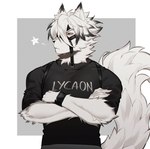 Rating: s
ID: 3495816
Date: 2022-08-08 23:55:06 -0400
Status: active
Score: 57
2022 5_fingers absurd_res anthro big_tail black_clothing black_shirt black_topwear border bottomwear canid canine canis casual_clothing clothing crossed_arms fingers fur grey_background half-length_portrait harness hi_res male mammal mihoyo mmorroxzks one_eye_obstructed pants portrait red_eyes shirt simple_background solo tail text text_on_clothing text_on_topwear topwear unimpressed von_lycaon white_body white_border white_fur wolf wristband zenless_zone_zero post #3495816