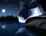 Rating: s
ID: 1858345
Date: 2019-04-29 19:35:58 -0400
Status: active
Score: 44
ambiguous_gender animated blue_eyes blurred_background digital_media_(artwork) digital_painting_(artwork) domestic_cat fan_character felid feline felis feral fur hi_res konarika looking_at_reflection mammal moon multicolored_body multicolored_fur night painting_(artwork) reflection shaded short_playtime sky soft_shading solo star starry_sky warriors_(book_series) water post #1858345