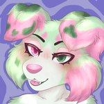 Rating: s
ID: 5620101
Date: 2025-06-04 05:06:58 -0400
Status: pending
Score: 4
1:1 2025 absurd_res anthro arm_tuft australian_shepherd black_eyebrows black_eyeliner blue_background blush blush_lines canid canine canis cheek_tuft colored digital_drawing_(artwork) digital_media_(artwork) domestic_dog eyebrows eyelashes eyeliner eyeshadow facial_markings facial_tuft female floppy_ears folded_ears fur green_body green_eyes green_fur green_markings head_markings heart_(marking) herding_dog heterochromia hi_res light lighting looking_at_viewer makeup mammal markings melon_(twinkworshiper8) multicolored_body nude open_mouth pastoral_dog pink_eyes pink_eyeshadow pink_markings pink_nose pink_tongue pupils shaded sheepdog shoulder_tuft simple_background smile solo spots spotted_body teeth tongue trans_(lore) trans_woman_(lore) tuft twinkworshiper8 white_body white_fur post #5620101