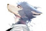Rating: s
ID: 5656740
Date: 2025-06-20 22:10:27 -0400
Status: pending
Score: 18
3:2 anthro beastars black_eyes blue_body blue_fur canid canine canis clip_studio_paint_(artwork) digital_drawing_(artwork) digital_media_(artwork) enoxarts fur grey_body grey_fur hi_res legoshi_(beastars) male mammal multicolored_body multicolored_skin side_view solo two_tone_body two_tone_skin wolf post #5656740
